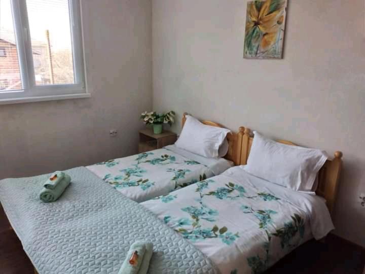 Holiday Guest House Kemo ساباريفا بانيا المظهر الخارجي الصورة